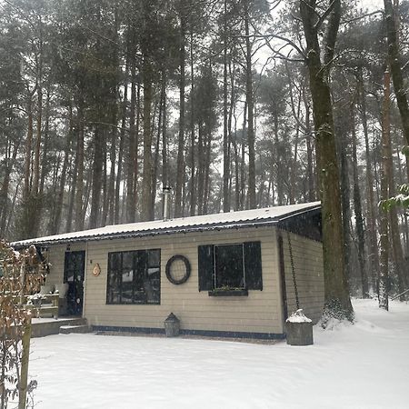 Chalet Sint Zutendaal Eksteriør bilde